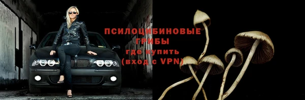 дмт Абинск